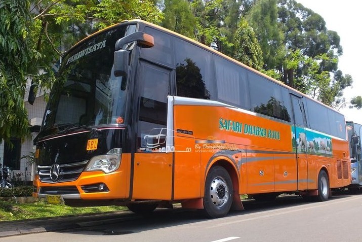 agen Tiket Bus Safari Dharma Raya