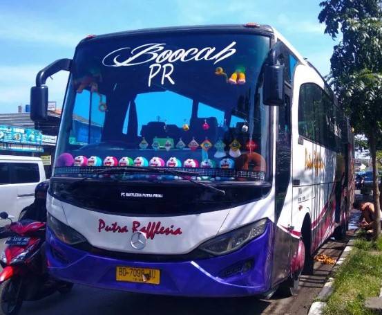 Tiket Bus Putra Rafflesia