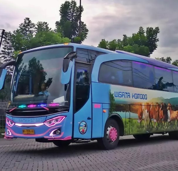 Agen Bus Wisata Komodo