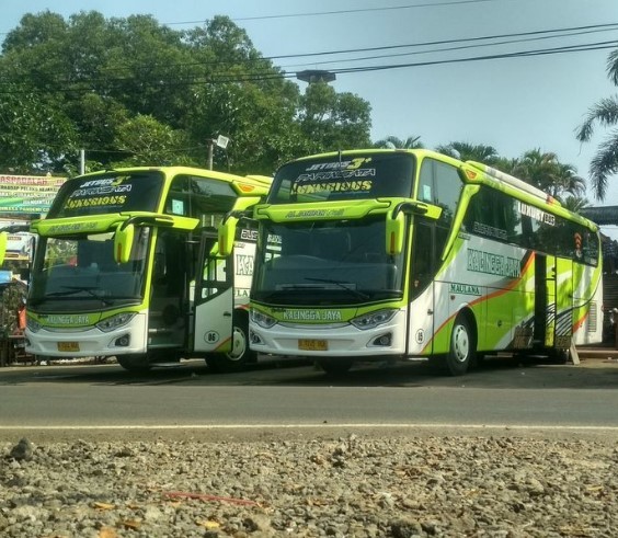 Bus Kalingga Jaya
