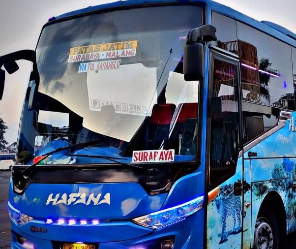Bus Hafana