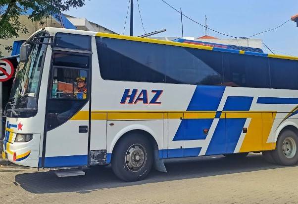 Bus HAZ