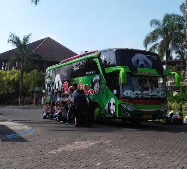 Bus Restu Panda