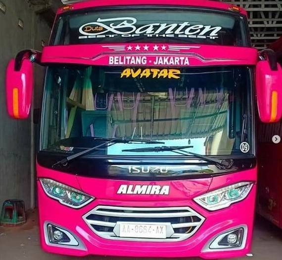 Bus Almira Trans