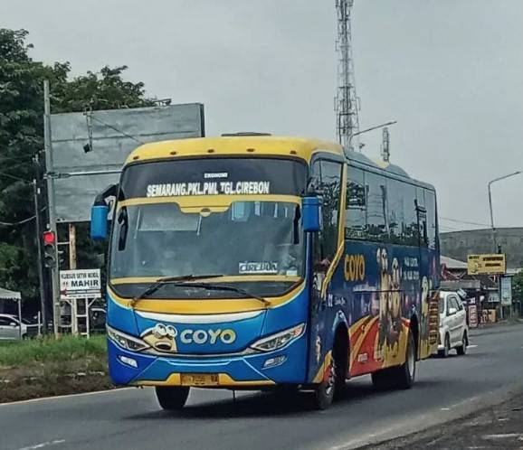 Bus Coyo