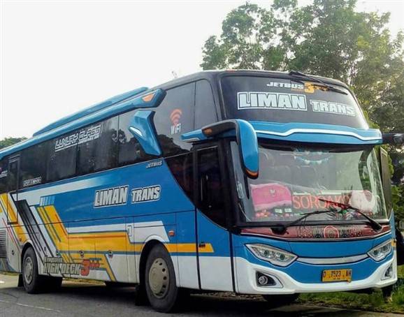 Bus Liman Trans