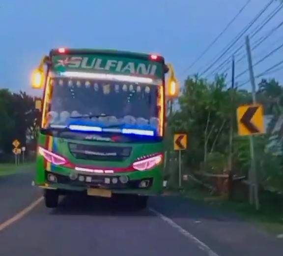Bus Sulfiani Trans